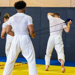 Disciplines