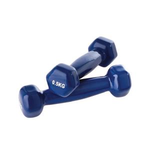 fi0503-halteres-tremblay-500g-x2-bleu-tu