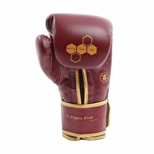 product/m/o/montana_mgb008-06-x-fight-legend-d.jpg