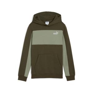 690784-70-sweatshirt-a-capuche-enfant-puma-essentials-block-small-logo-green