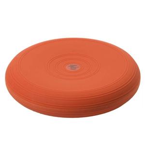 g2502-21-coussin-de-balle-togu-dynair-terra-36-cm